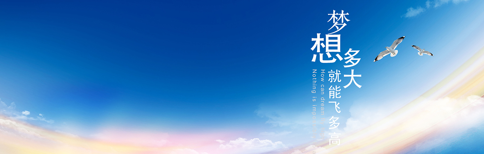 banner_bg2